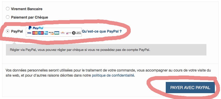 Payer-CB-Paypal-1